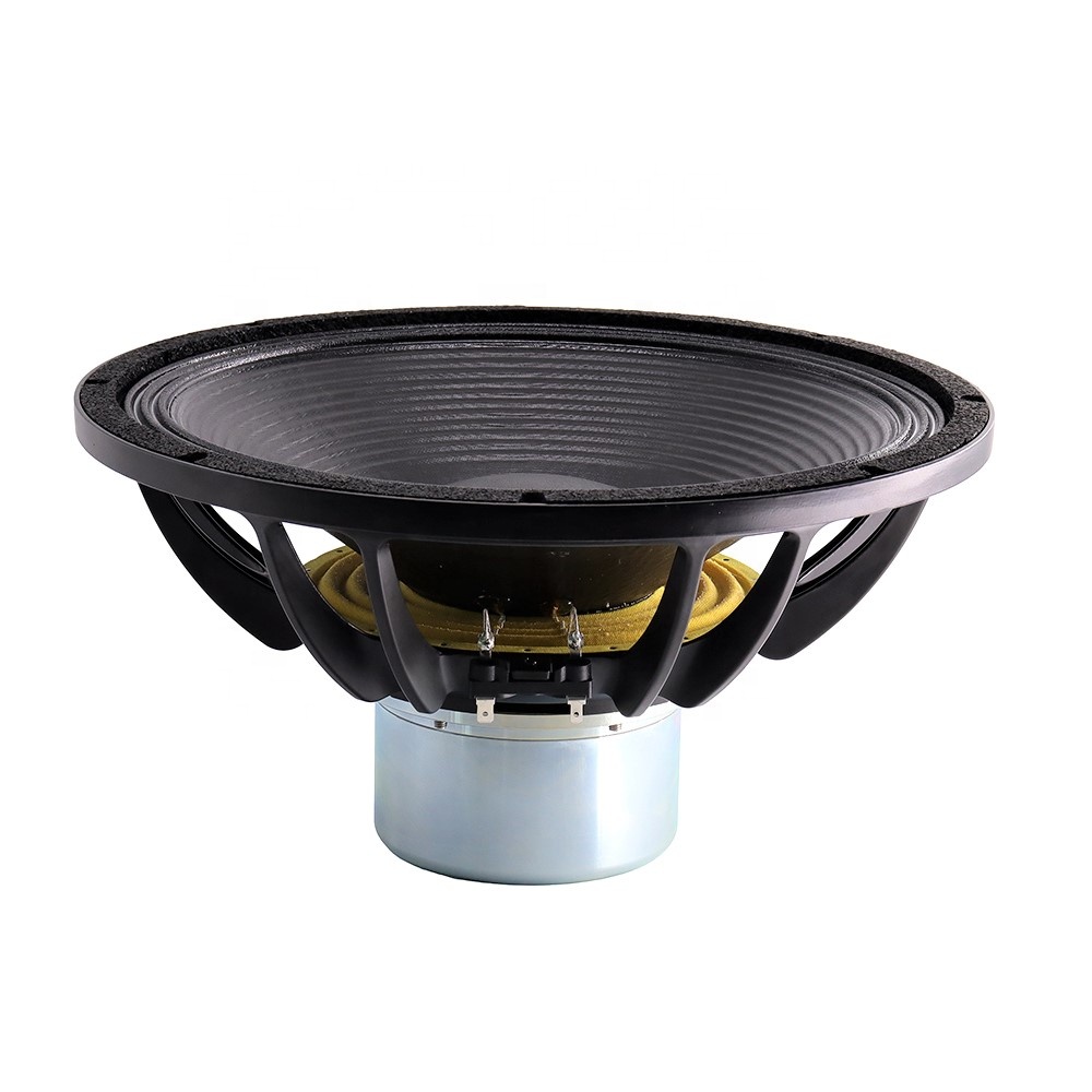 Subwoofer al Neodimio da 15''  - Speakers recensione e prezzo